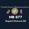 HB677MugshotRemovalBill HB677MugshotRemovalBill